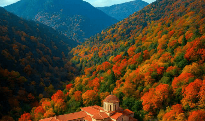 254396_SYNDESMOS_Noemv_25_603_Exofullo